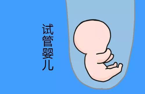 有偿试管代妈机构